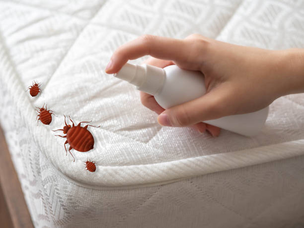 Real Estate Pest Inspections in Greene, IA